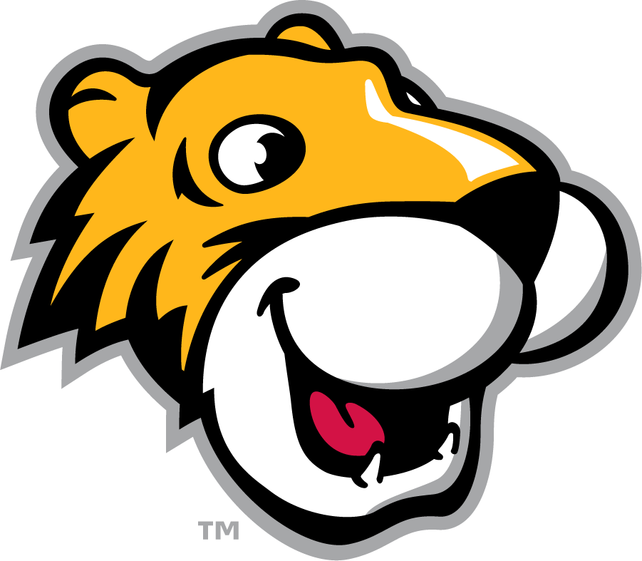 Towson Tigers 2002-Pres Mascot Logo v2 diy iron on heat transfer